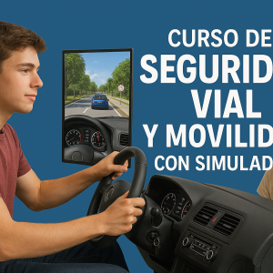 WEB SIMULADORES ACCESO